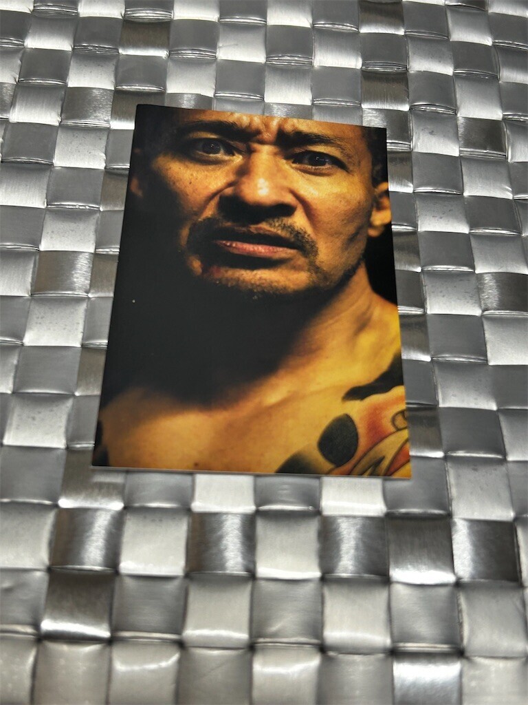 f:id:Magnoliarida:20250608081128j:image f:id:Magnoliarida:20250608081128j:image