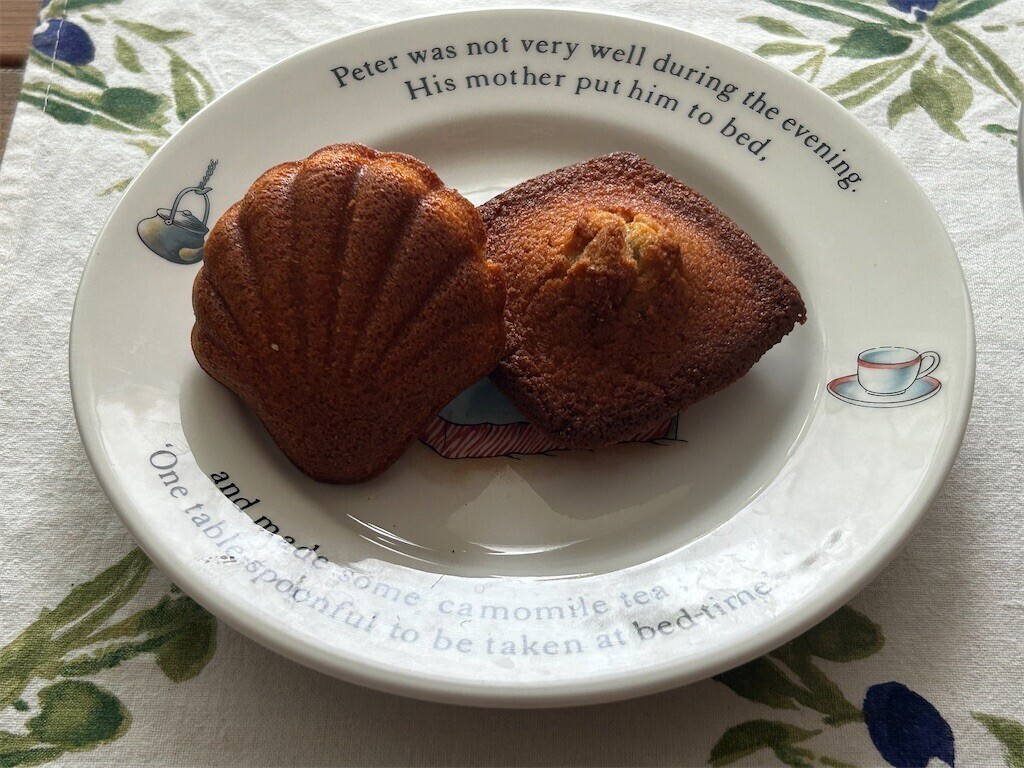 f:id:Magnoliarida:20250614100512j:image