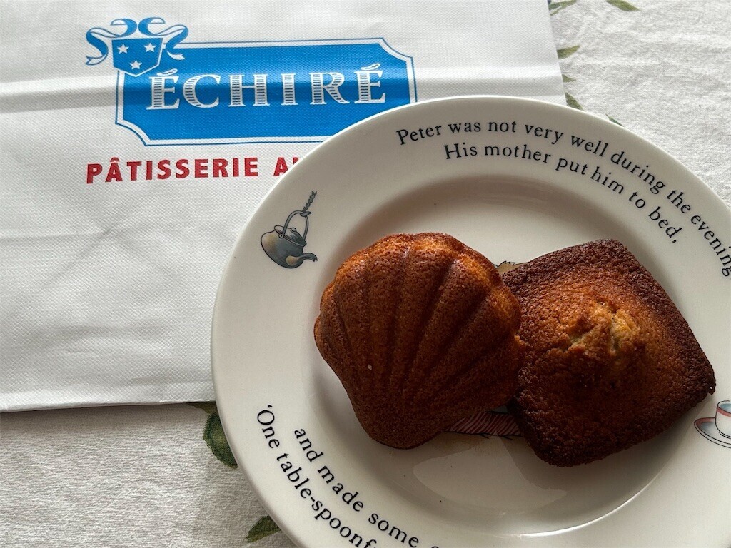 f:id:Magnoliarida:20250614100516j:image