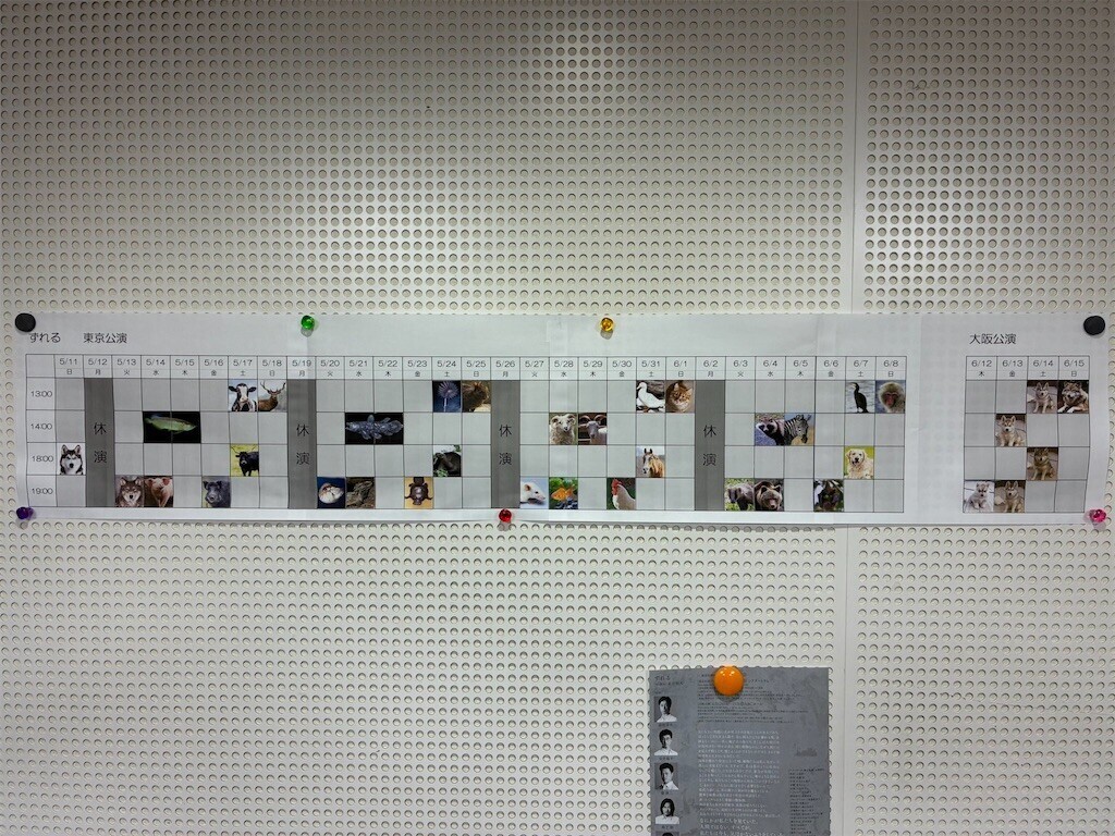 f:id:Magnoliarida:20250616083729j:image