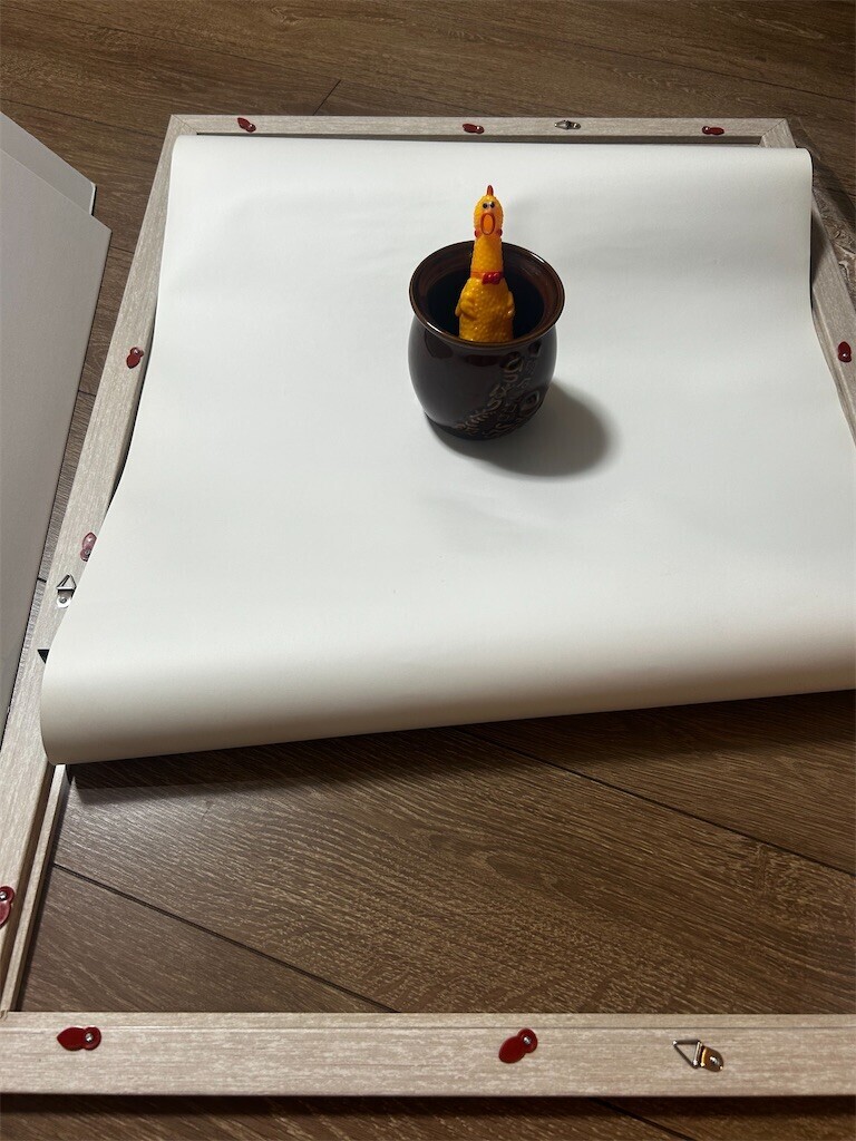 f:id:Magnoliarida:20250619220430j:image f:id:Magnoliarida:20250619220430j:image