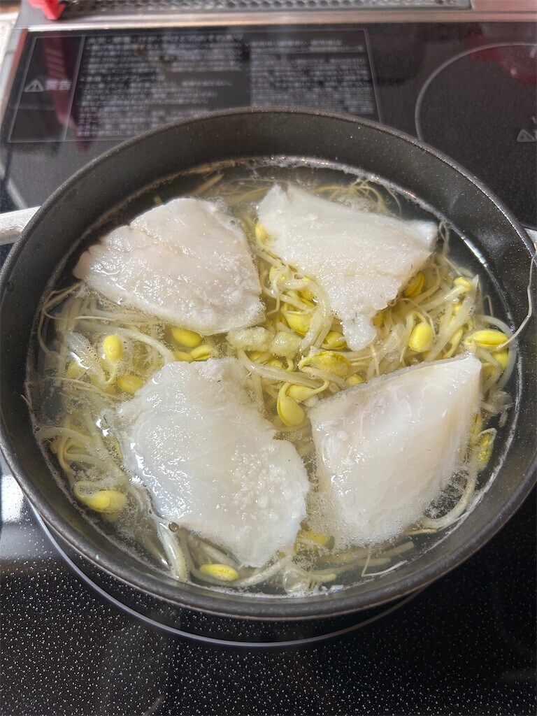 f:id:Magnoliarida:20250620094043j:image