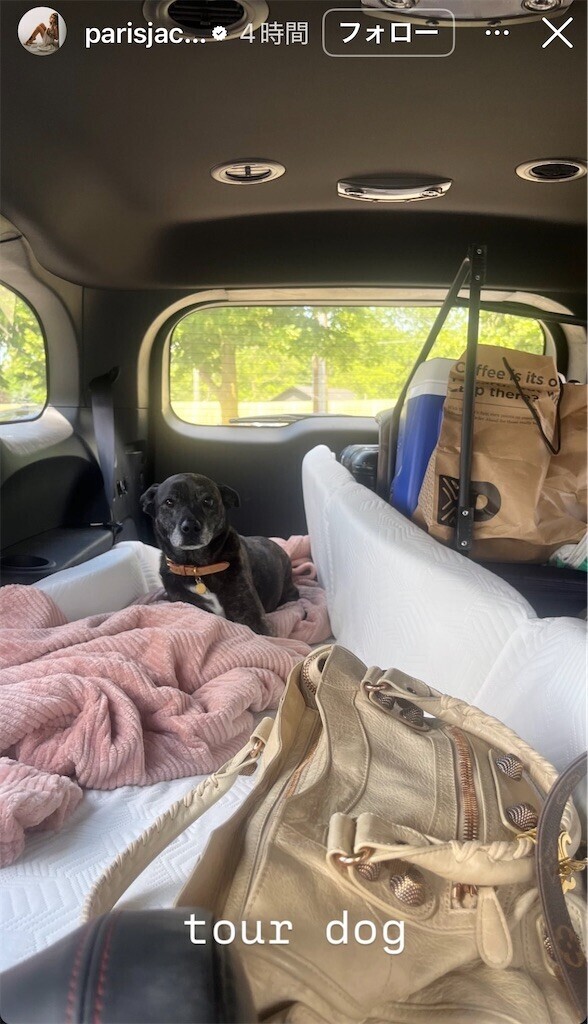 f:id:Magnoliarida:20250702084816j:image