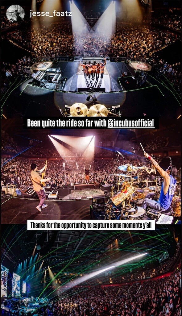 f:id:Magnoliarida:20250702090536j:image