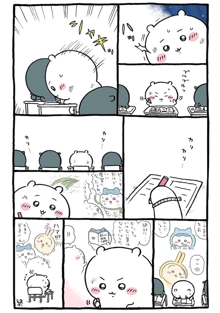 f:id:Magnoliarida:20250703204936j:image