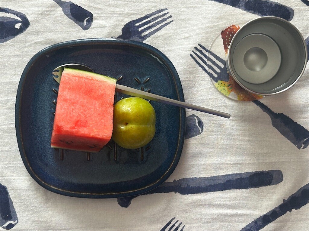 f:id:Magnoliarida:20250717085122j:image f:id:Magnoliarida:20250717085122j:image