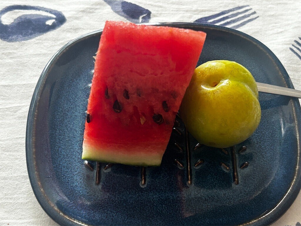 f:id:Magnoliarida:20250717085125j:image f:id:Magnoliarida:20250717085125j:image