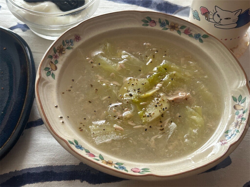 f:id:Magnoliarida:20250723090318j:image