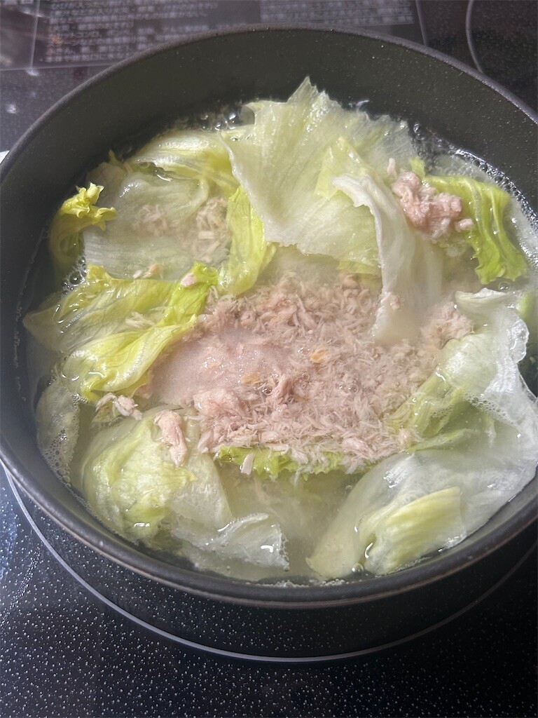 f:id:Magnoliarida:20250723090524j:image