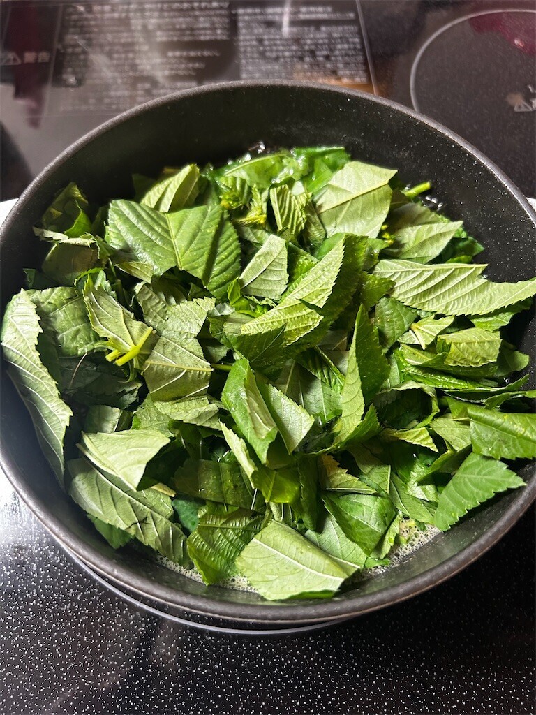 f:id:Magnoliarida:20250730072801j:image