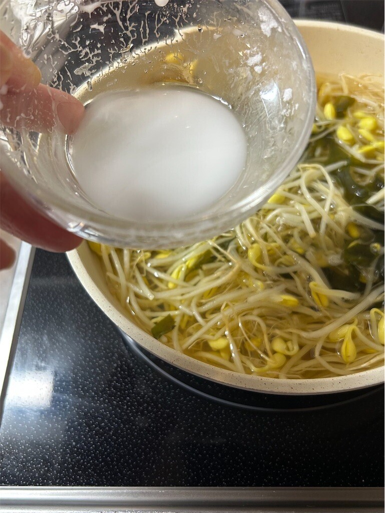 f:id:Magnoliarida:20250808082856j:image