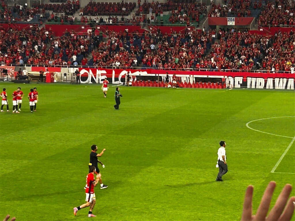 f:id:Magnoliarida:20250817110400j:image f:id:Magnoliarida:20250817110400j:image