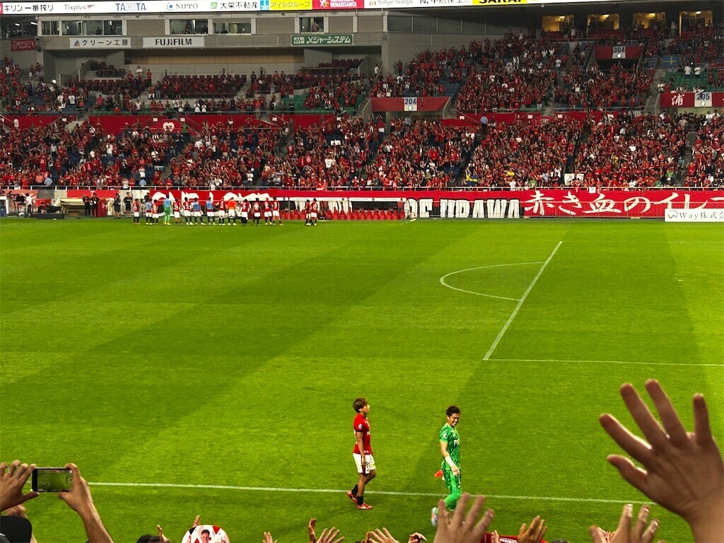 f:id:Magnoliarida:20250817110410j:image f:id:Magnoliarida:20250817110410j:image