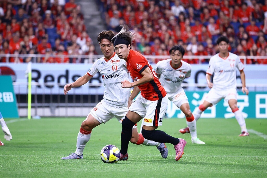 f:id:Magnoliarida:20250817110453j:image f:id:Magnoliarida:20250817110453j:image