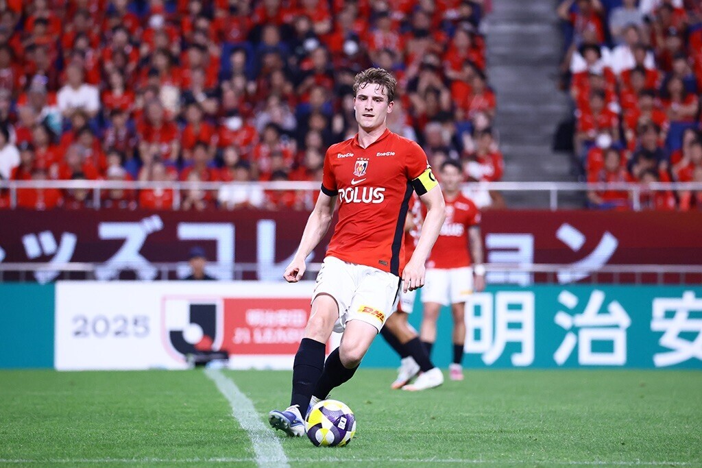 f:id:Magnoliarida:20250817110457j:image f:id:Magnoliarida:20250817110457j:image