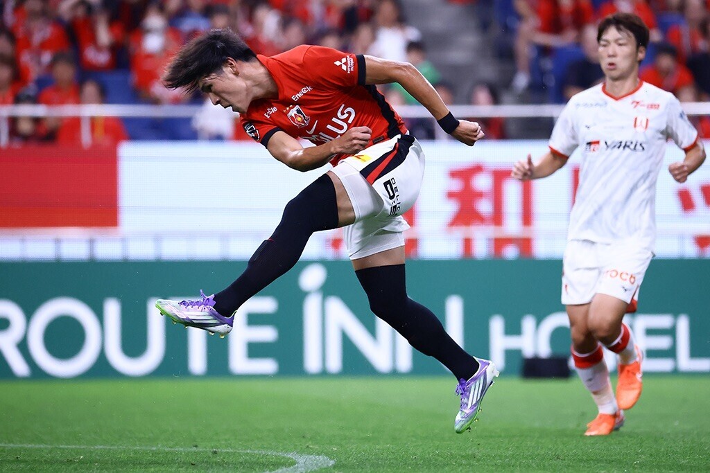 f:id:Magnoliarida:20250817110500j:image f:id:Magnoliarida:20250817110500j:image