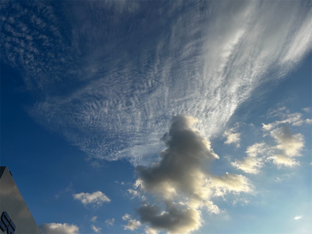 f:id:Magnoliarida:20250817110917j:image f:id:Magnoliarida:20250817110917j:image