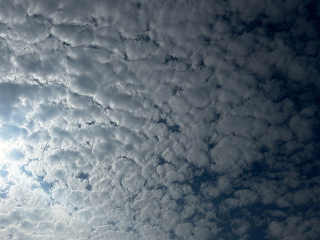 f:id:Magnoliarida:20250825082933j:image f:id:Magnoliarida:20250825082933j:image