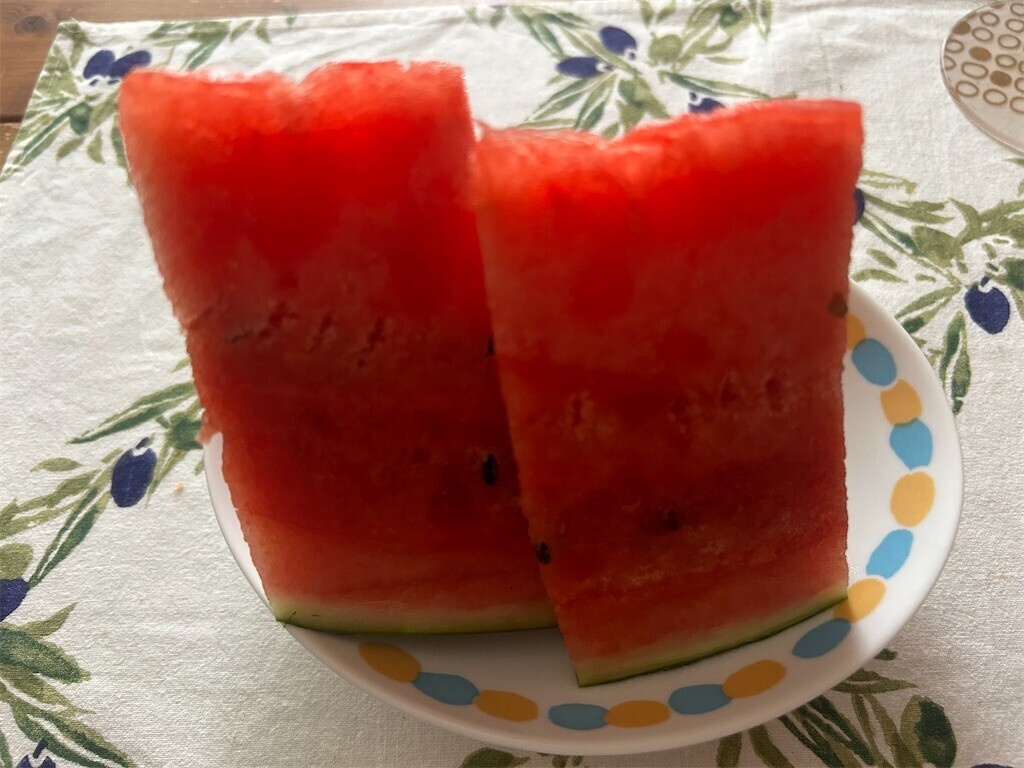 f:id:Magnoliarida:20250825083106j:image f:id:Magnoliarida:20250825083106j:image