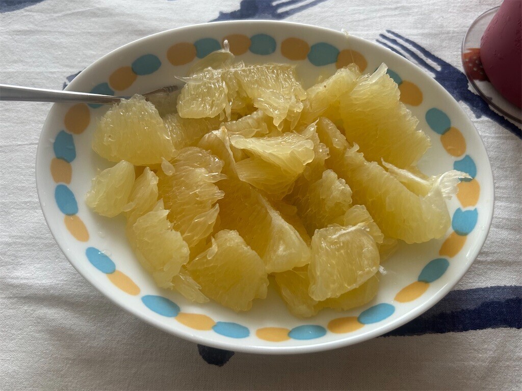 f:id:Magnoliarida:20250907111140j:image f:id:Magnoliarida:20250907111140j:image