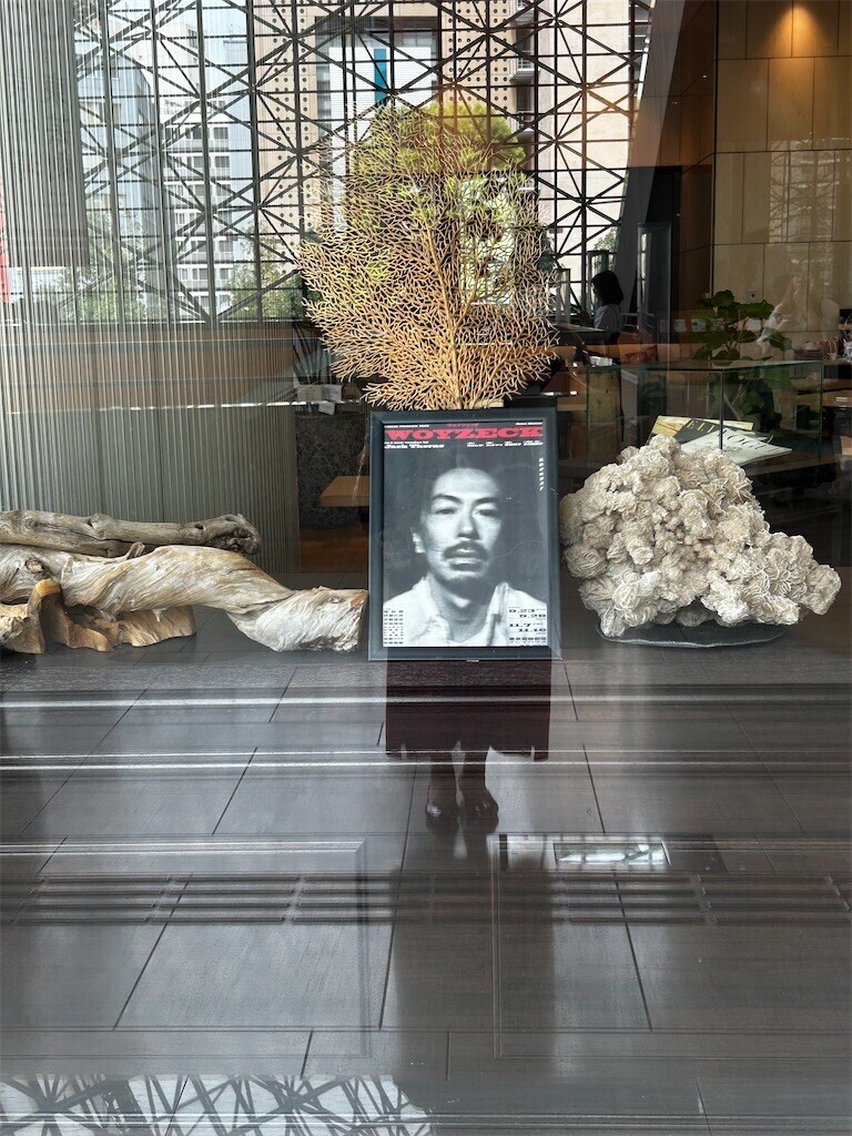 f:id:Magnoliarida:20250923181513j:image