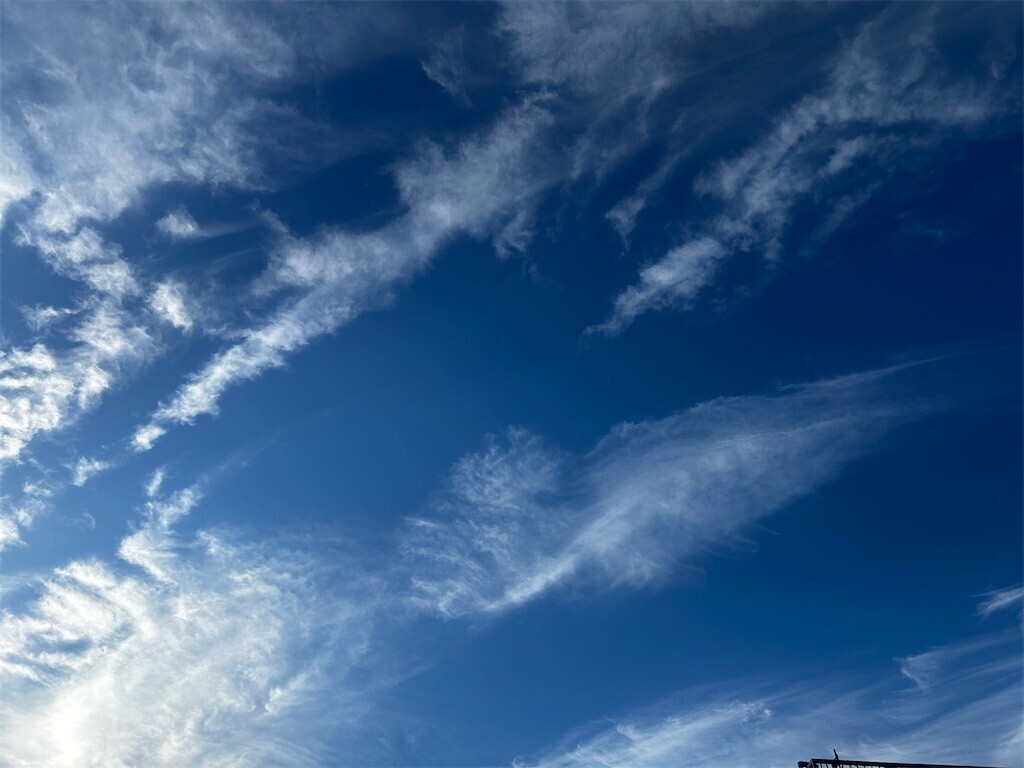 f:id:Magnoliarida:20250926082534j:image f:id:Magnoliarida:20250926082534j:image