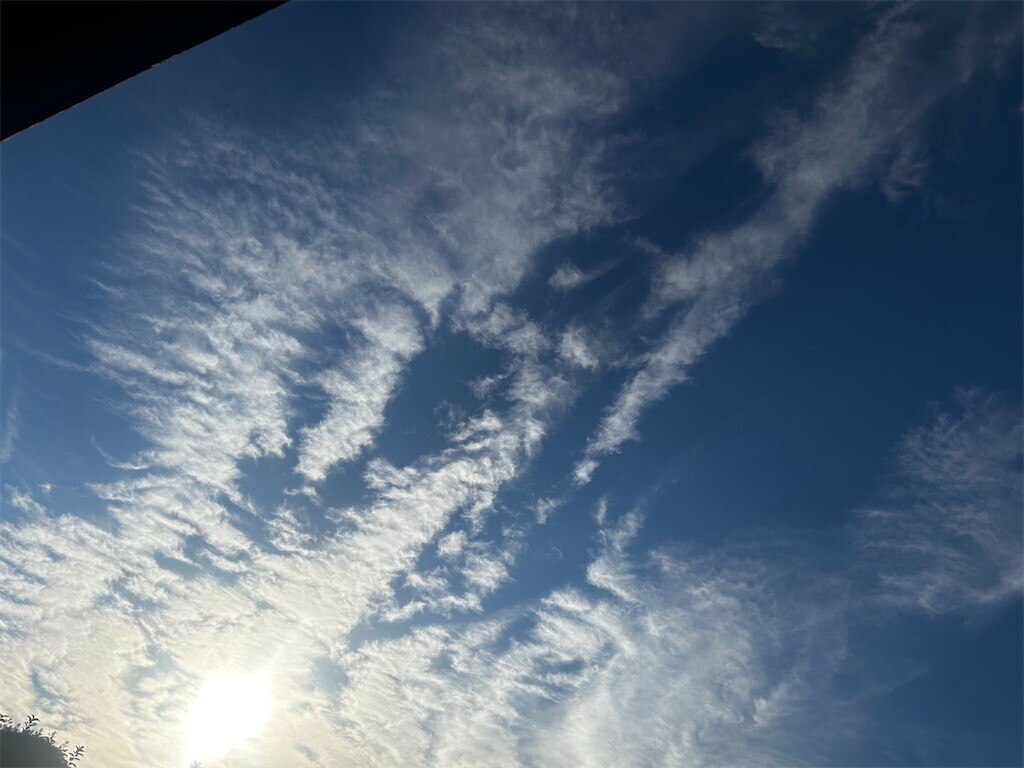 f:id:Magnoliarida:20250926082540j:image f:id:Magnoliarida:20250926082540j:image