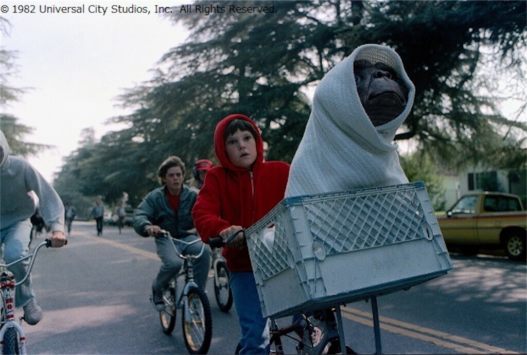 f:id:Magnoliarida:20251011092027j:image