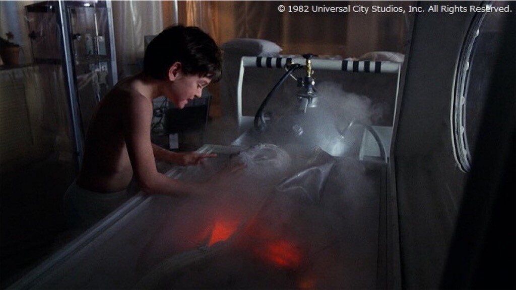 f:id:Magnoliarida:20251011093130j:image