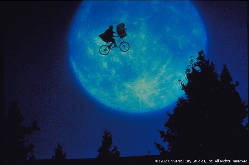 f:id:Magnoliarida:20251011093626j:image