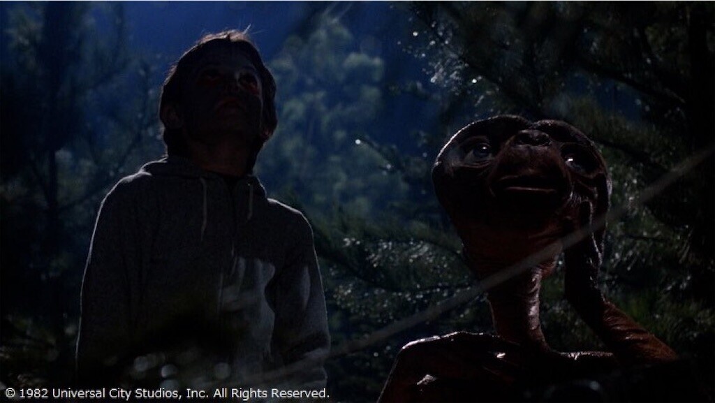 f:id:Magnoliarida:20251011093700j:image