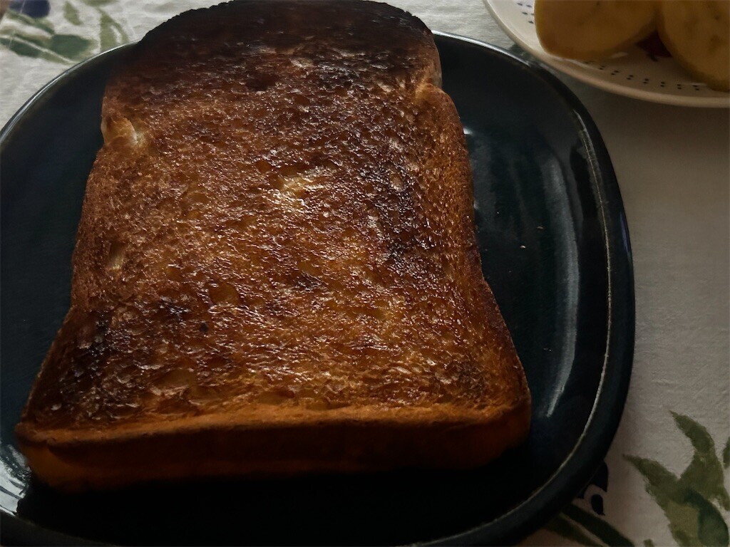 f:id:Magnoliarida:20251020083509j:image