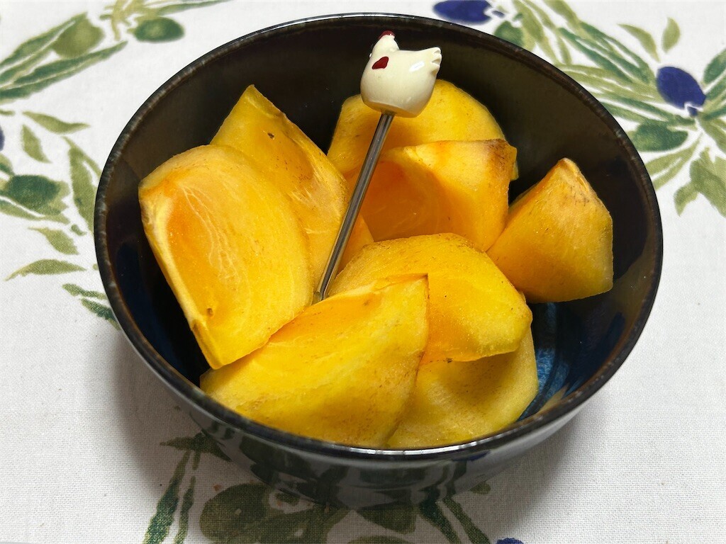 f:id:Magnoliarida:20251025101951j:image f:id:Magnoliarida:20251025101951j:image