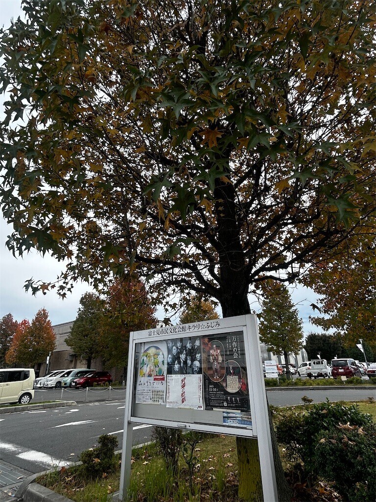 f:id:Magnoliarida:20251101214851j:image