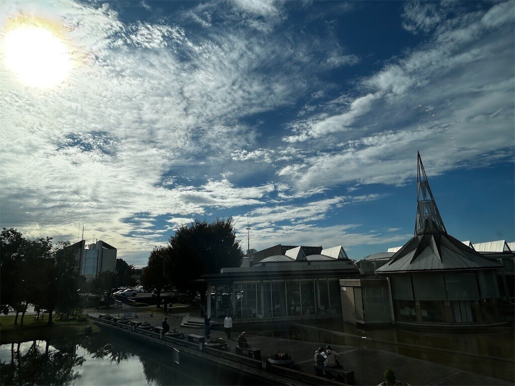 f:id:Magnoliarida:20251101215251j:image