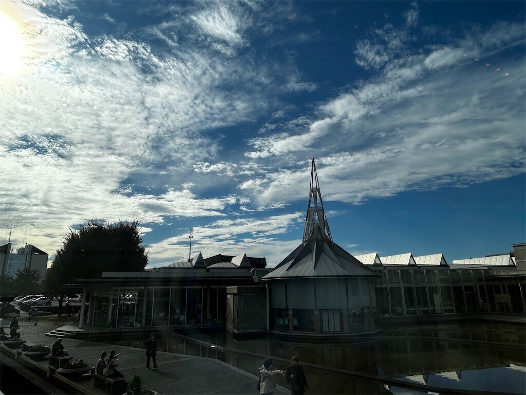 f:id:Magnoliarida:20251101215302j:image