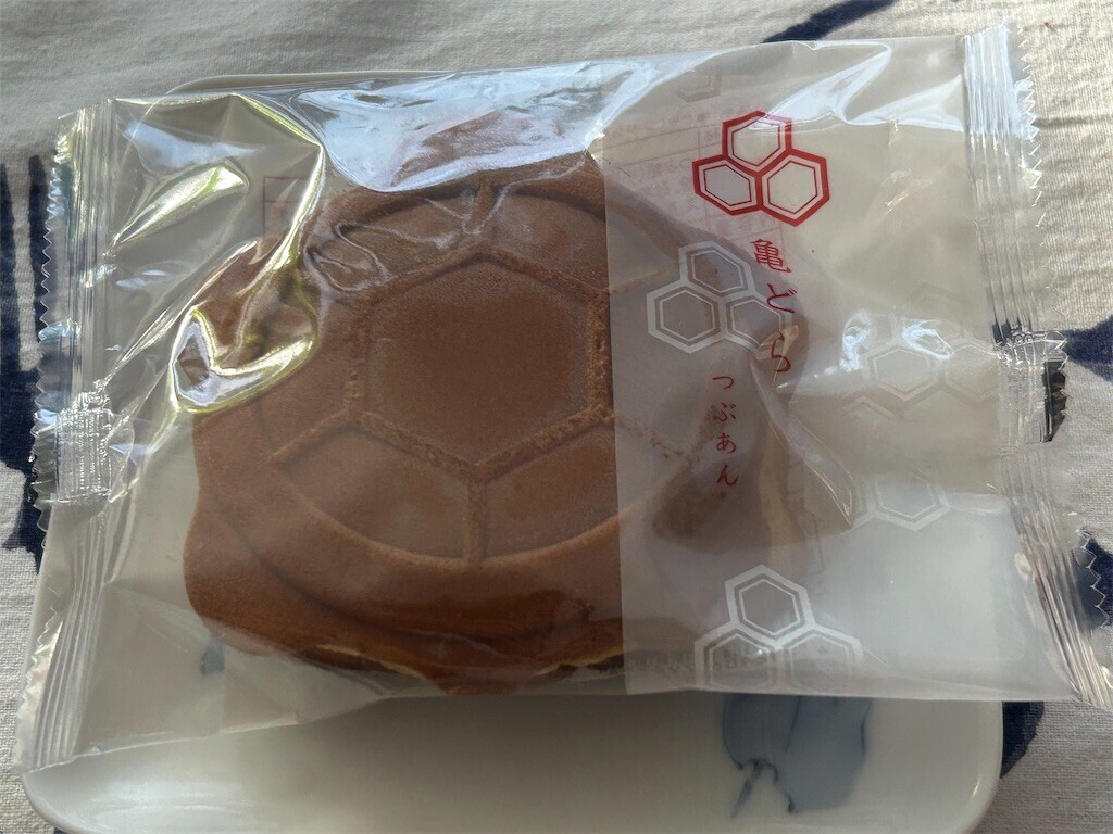 f:id:Magnoliarida:20251104083956j:image f:id:Magnoliarida:20251104083956j:image