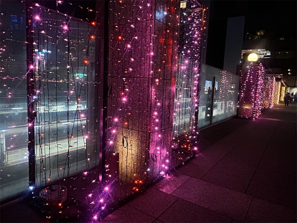 f:id:Magnoliarida:20251116121156j:image