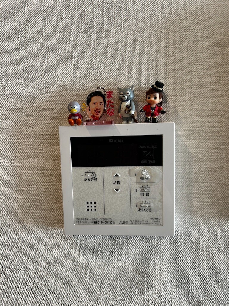 f:id:Magnoliarida:20251213101115j:image
