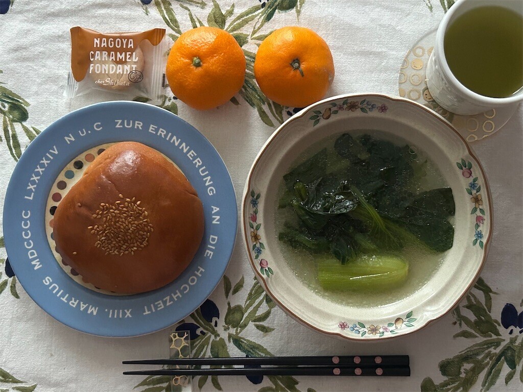 f:id:Magnoliarida:20251226083953j:image