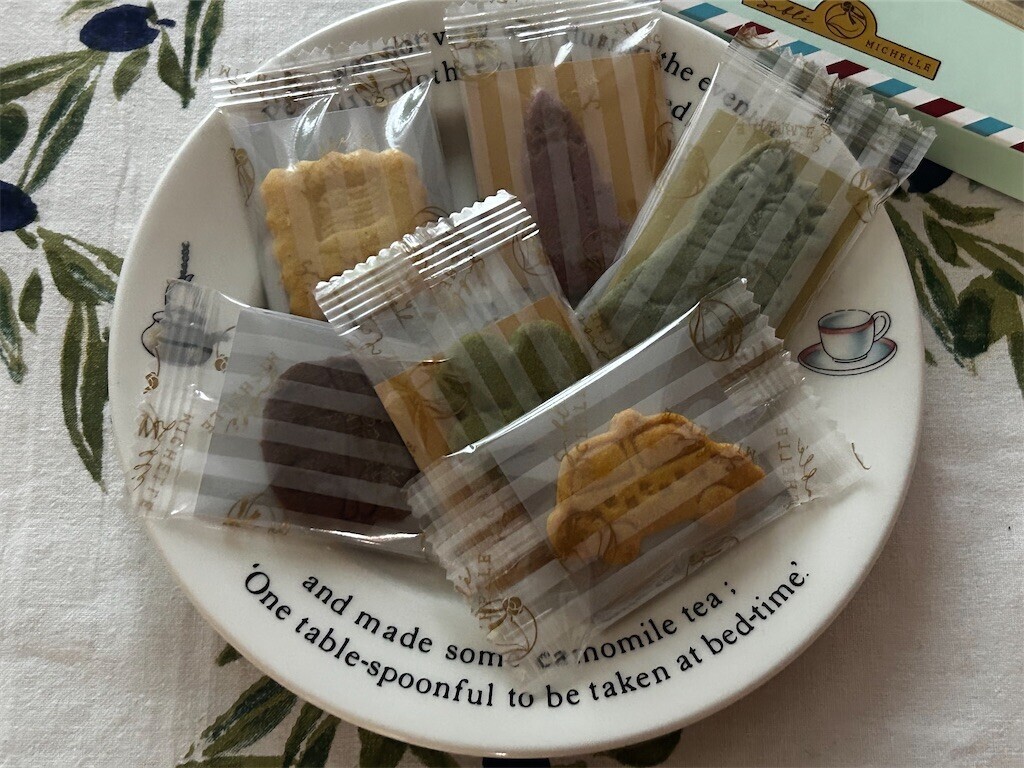 f:id:Magnoliarida:20251226084216j:image