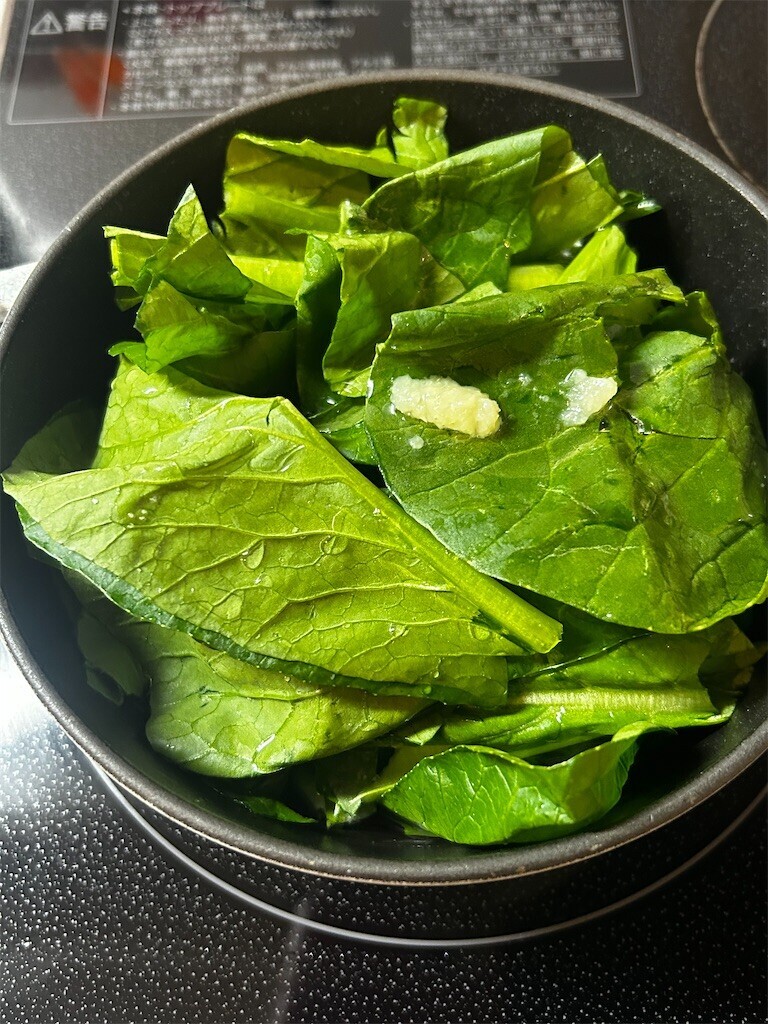 f:id:Magnoliarida:20251226084327j:image