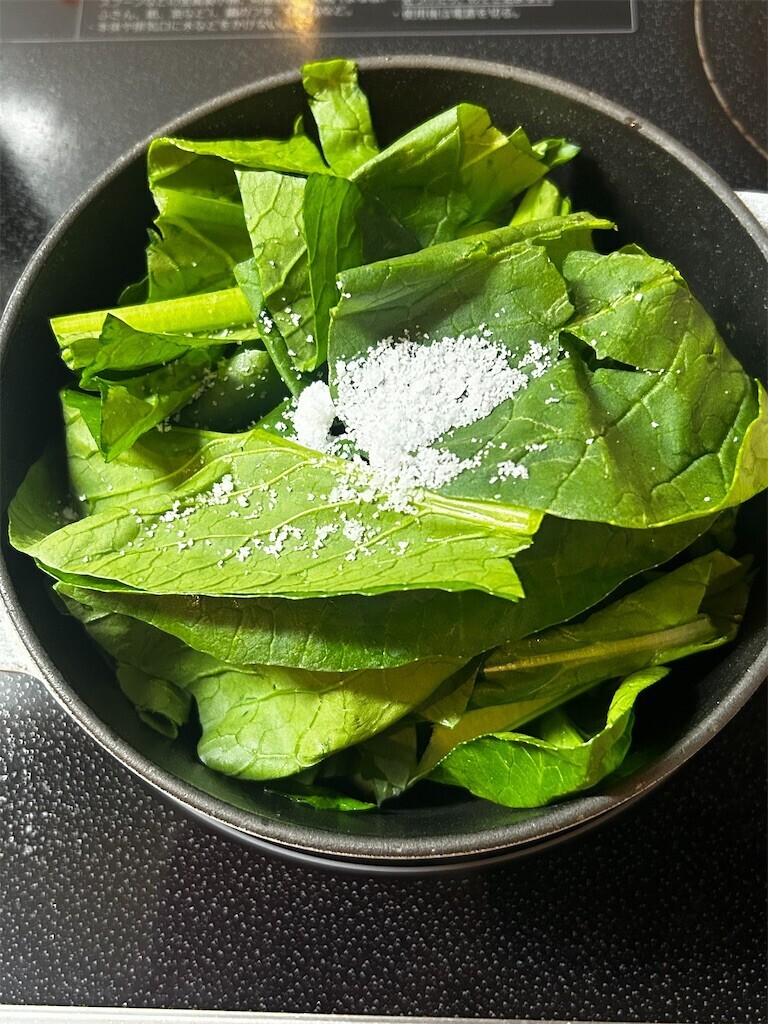 f:id:Magnoliarida:20251226084427j:image