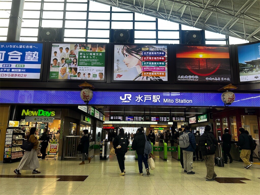 f:id:Magnoliarida:20260110184442j:image f:id:Magnoliarida:20260110184442j:image