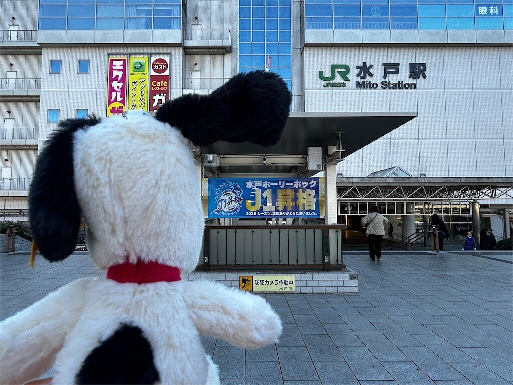 f:id:Magnoliarida:20260110184645j:image f:id:Magnoliarida:20260110184645j:image