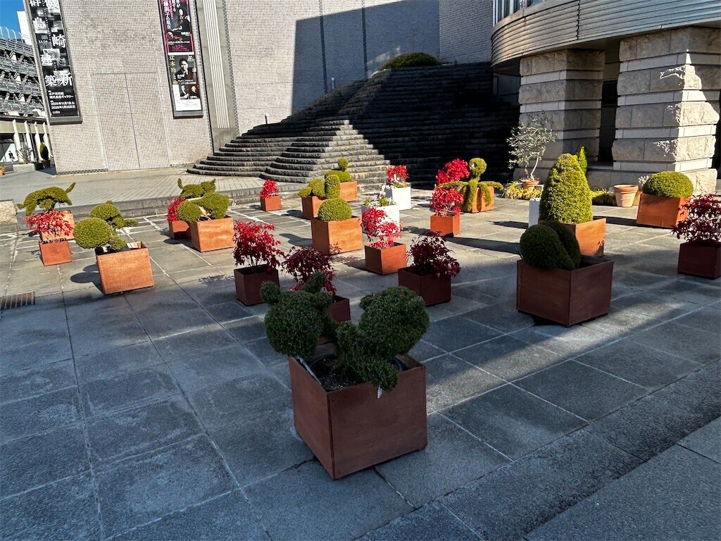 f:id:Magnoliarida:20260110190244j:image f:id:Magnoliarida:20260110190244j:image