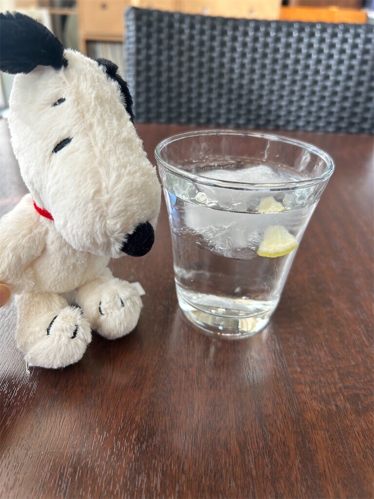 f:id:Magnoliarida:20260110193159j:image f:id:Magnoliarida:20260110193159j:image