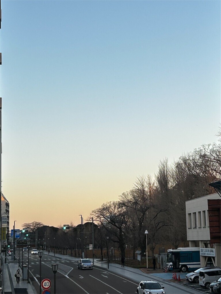 f:id:Magnoliarida:20260110194720j:image f:id:Magnoliarida:20260110194720j:image