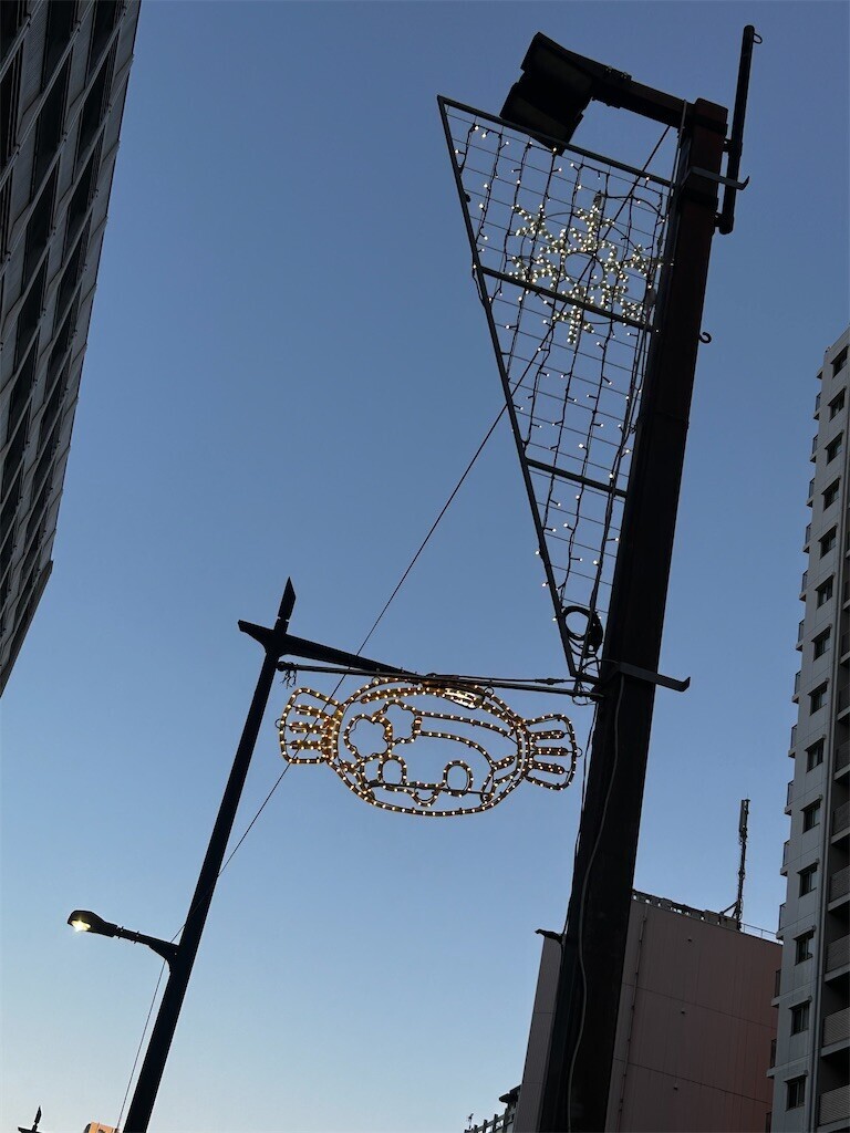 f:id:Magnoliarida:20260110194723j:image f:id:Magnoliarida:20260110194723j:image