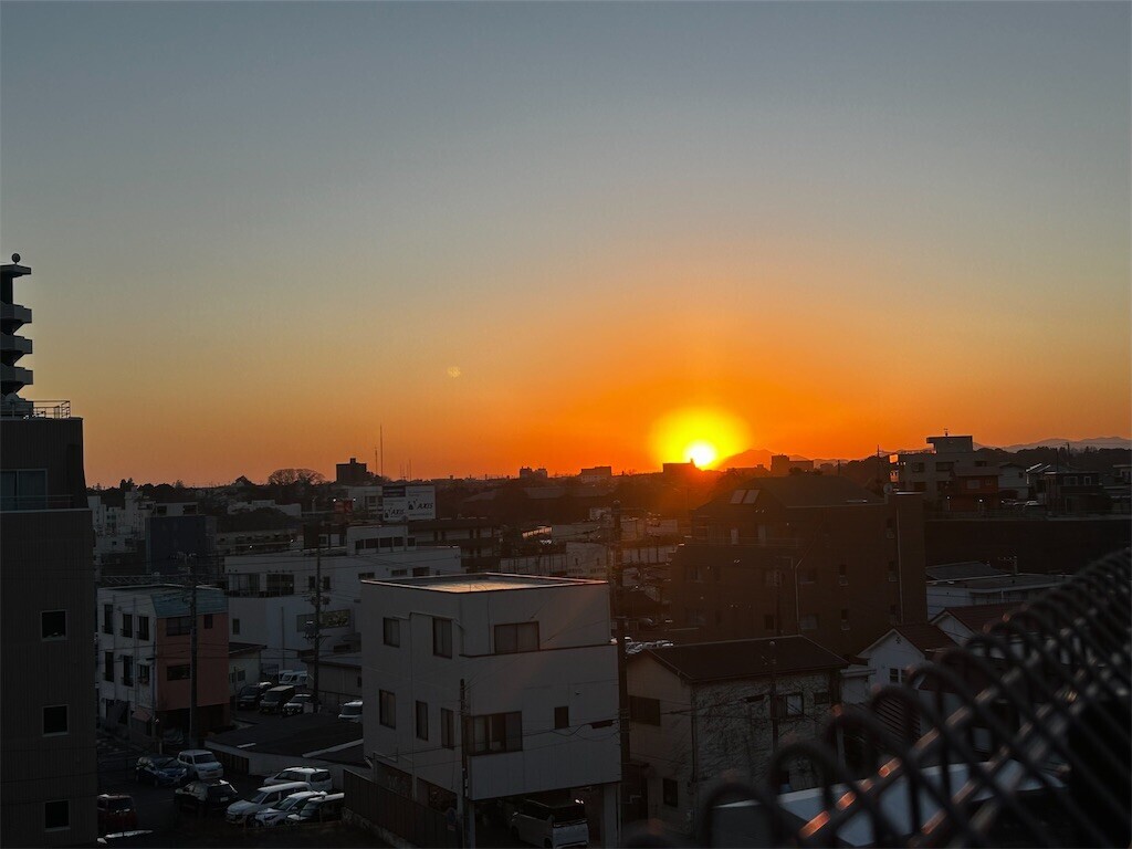 f:id:Magnoliarida:20260110194828j:image f:id:Magnoliarida:20260110194828j:image